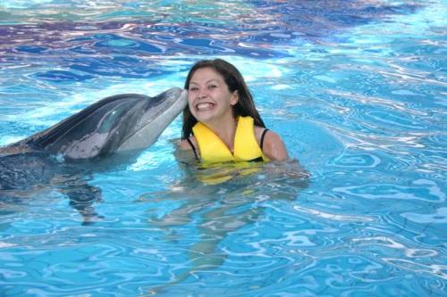 Alanya Dolphin Swimming
