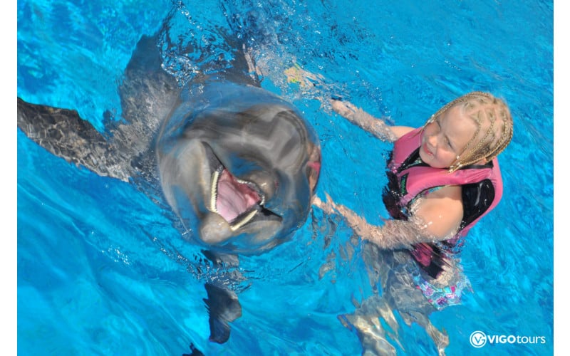 شنا با دلفین ها در آلانیا