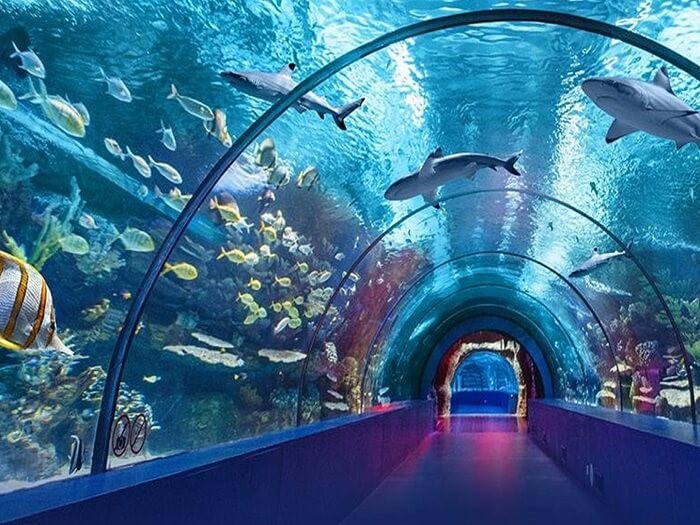 Antalya Aquarium Tour From Alanya