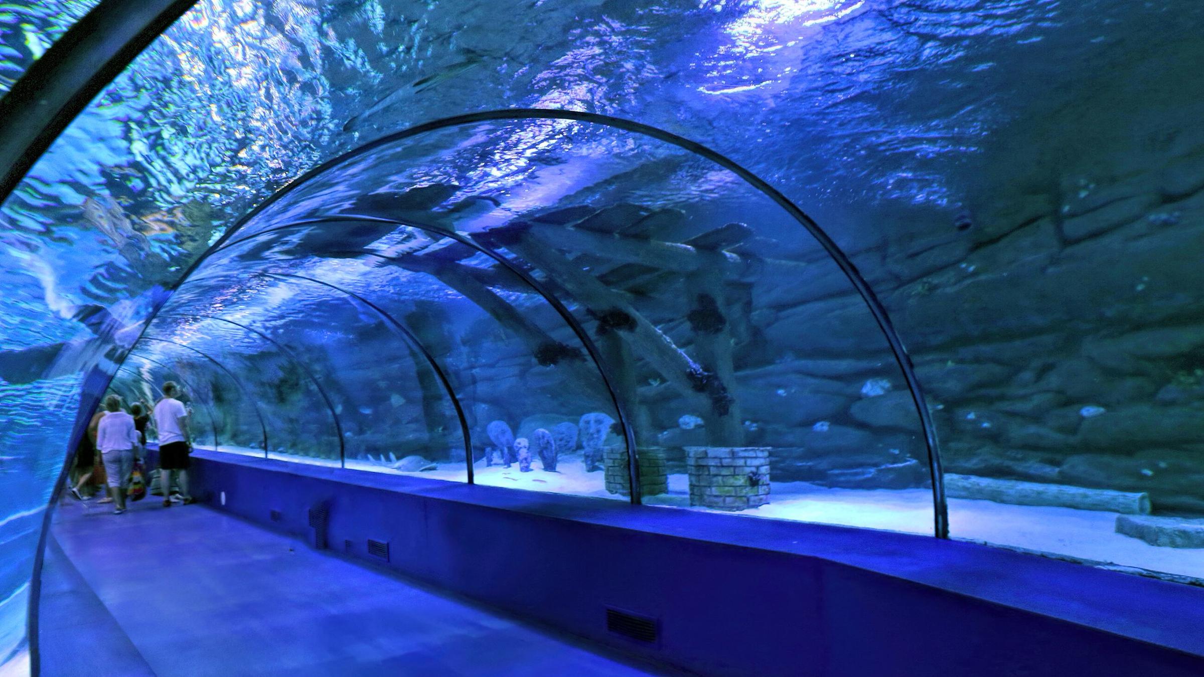 Antalyan akvaariokierros Alanyasta