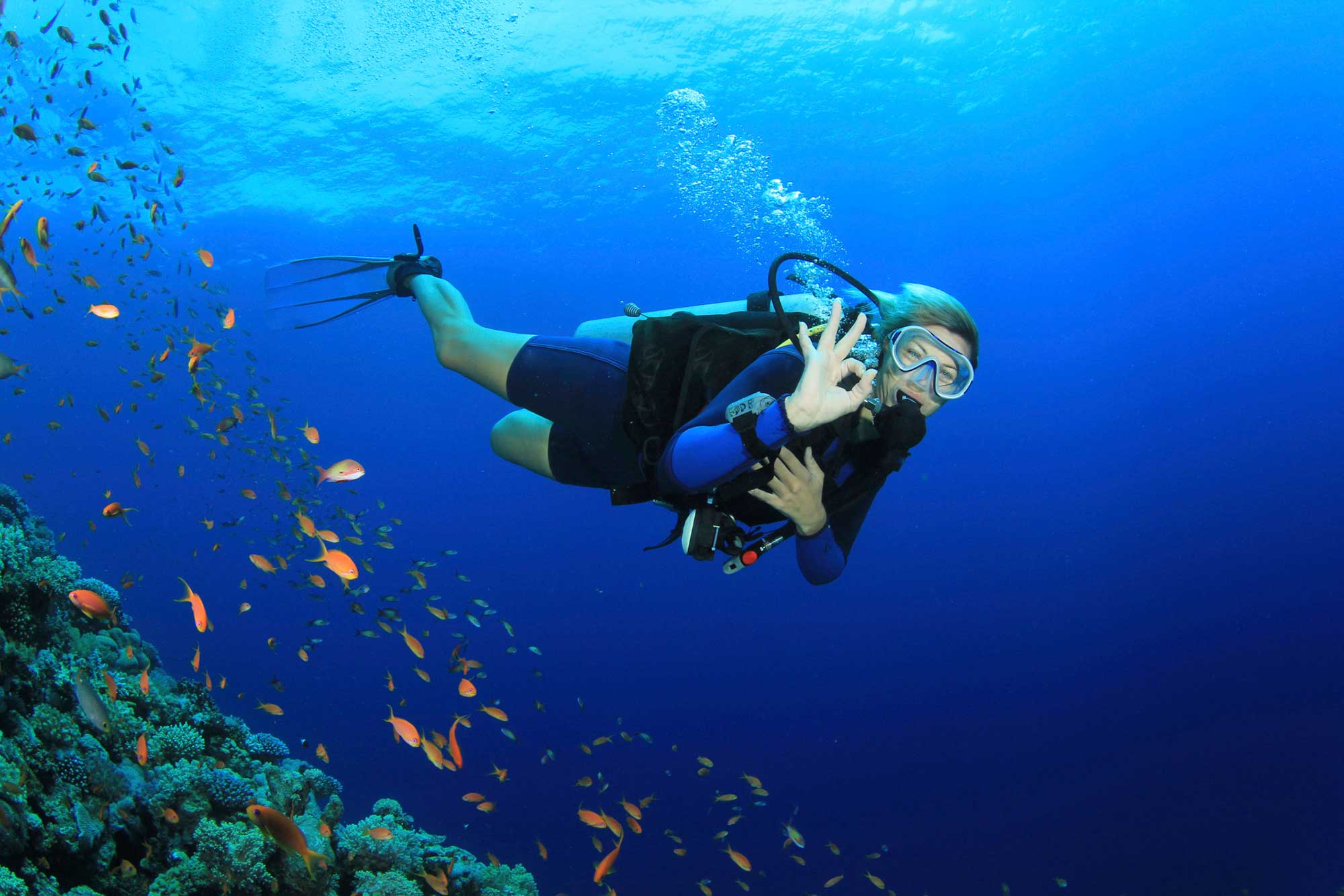 Scuba Diving Alanya