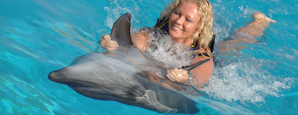 Pokaz delfinów w Alanyi